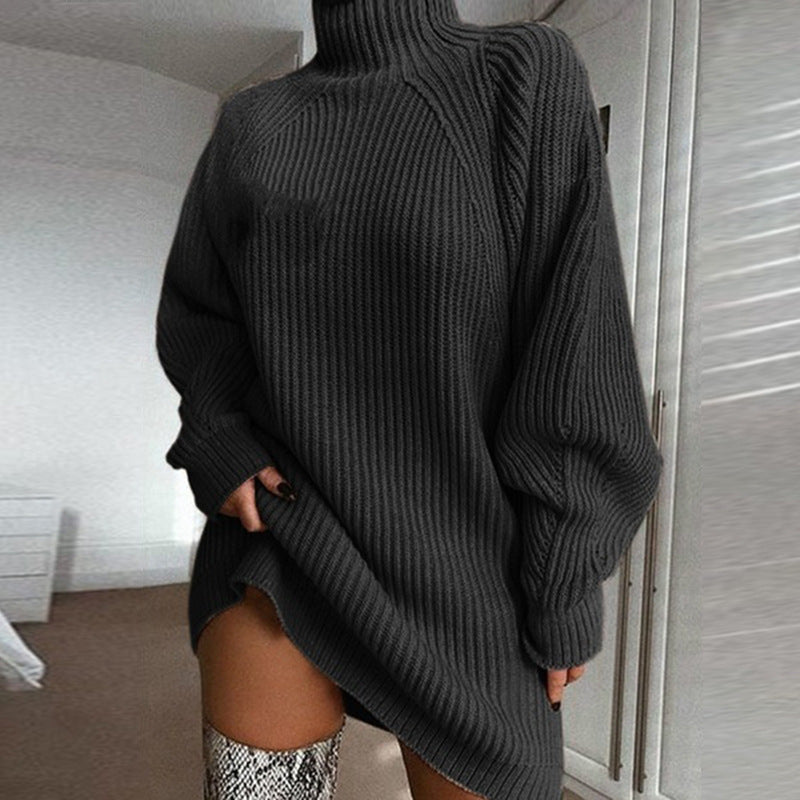 Alisson Turtleneck Sweater Dress