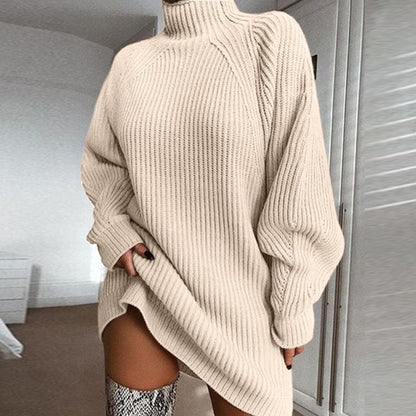 Alisson Turtleneck Sweater Dress