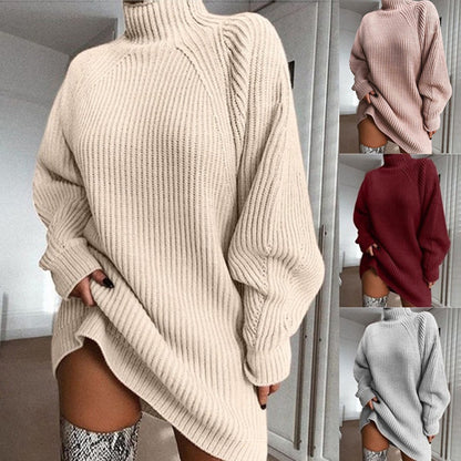 Alisson Turtleneck Sweater Dress